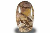 Free-Standing, Polished Petrified Wood - Madagascar #256719-1